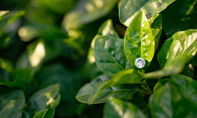 Sustainable Sparkle: TRIT’s Commitment to Eco-Friendly Jewelry